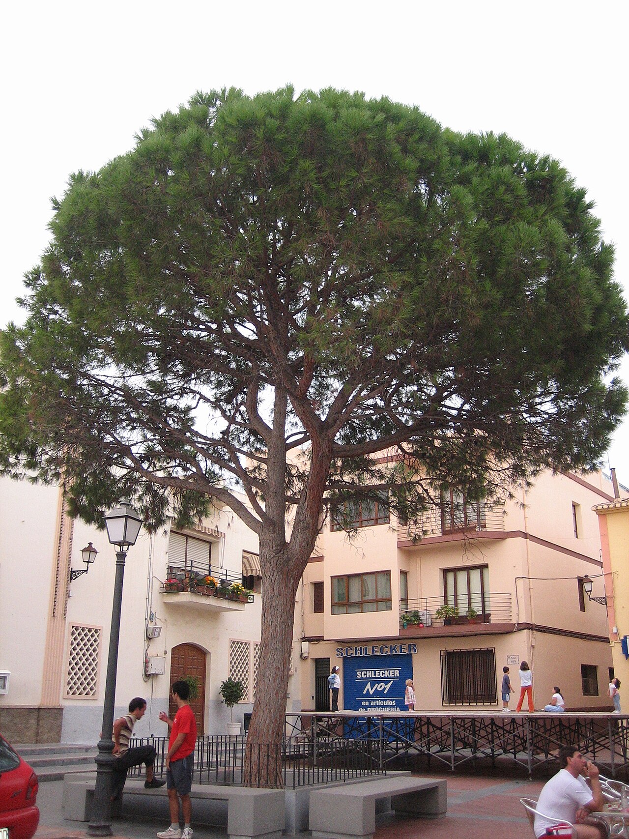 View of Alfaz del Pi